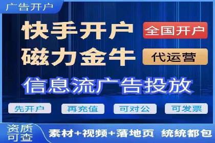 案例分析：信息流平台在电商领域的应用